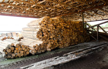 Treated Southern Yellow Pine in Stack | The Supply Scout