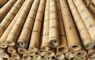 Bamboo Wood | The Supply Scout