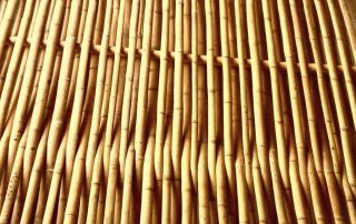 Bamboo Wood | The Supply Scout